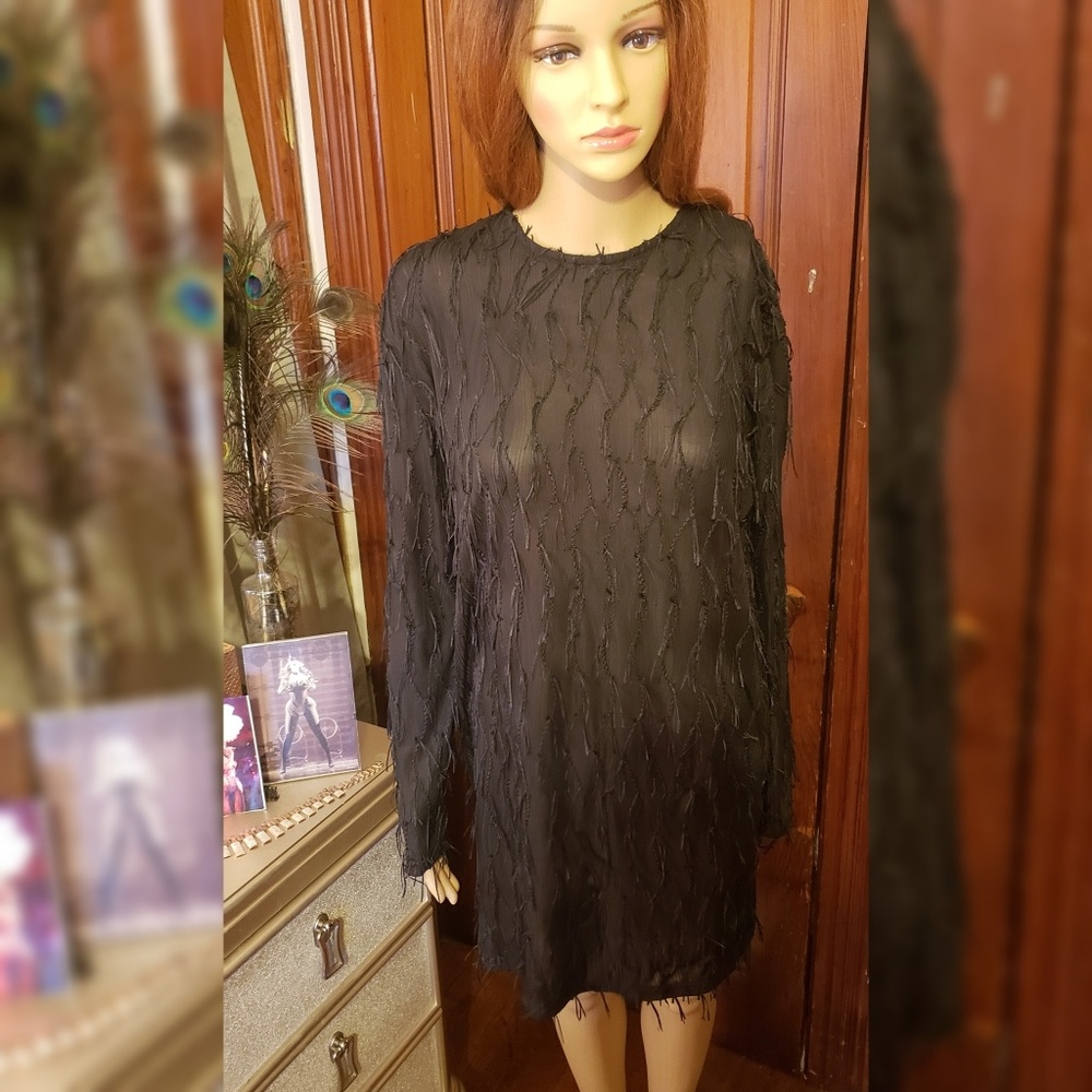 Zara Black Fringe Dress
